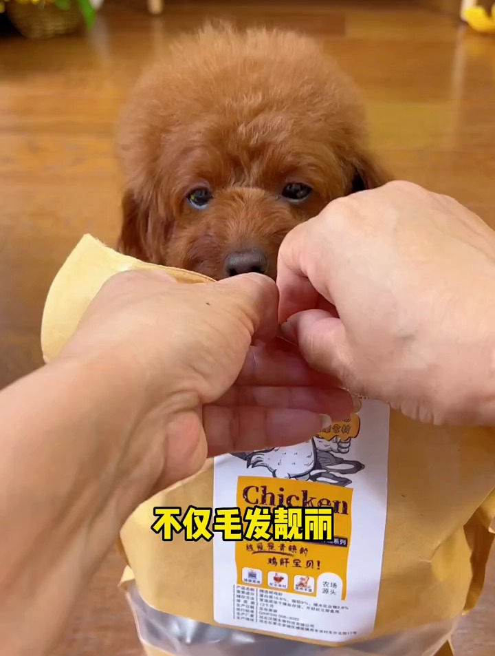 经常吃鸡肝的狗狗不仅毛发靓丽,还会淡化泪痕,身体也会棒棒哒