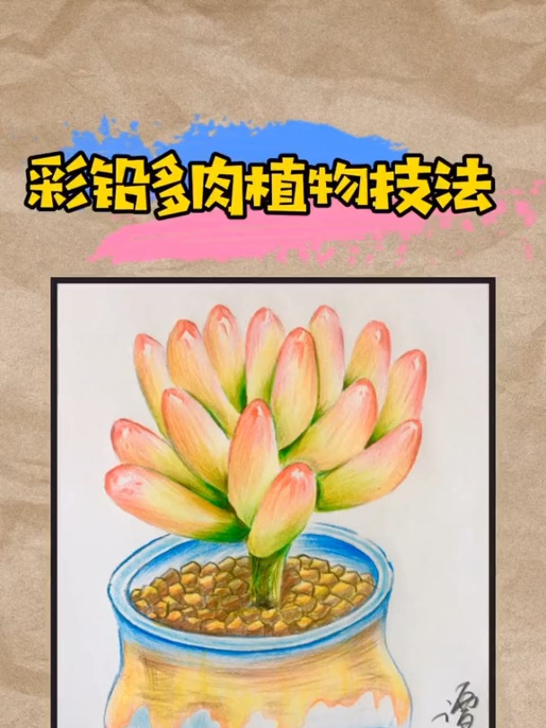 彩铅多肉植物技法