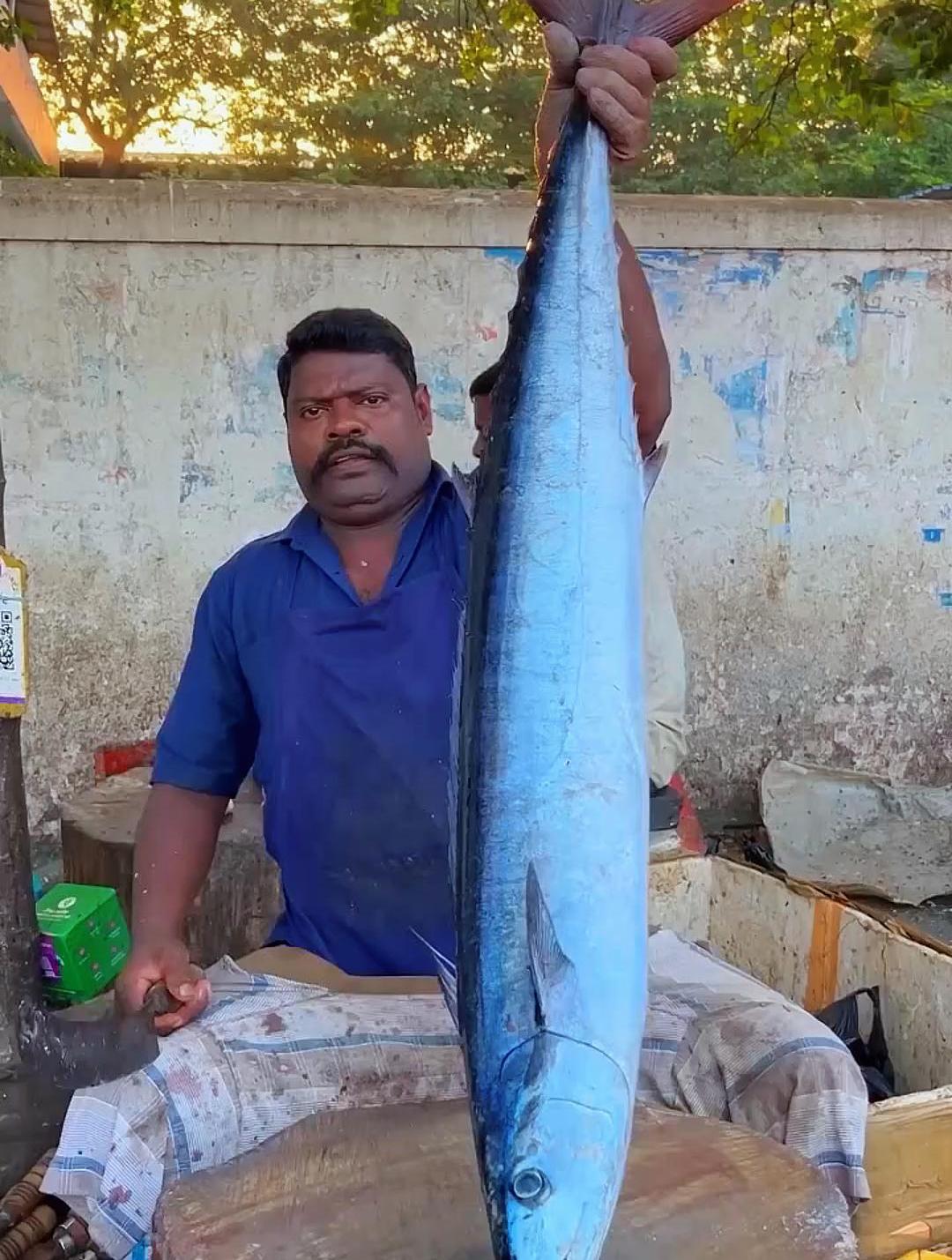 印度人都是如何处理这种大鱼的,真是大开眼界啊