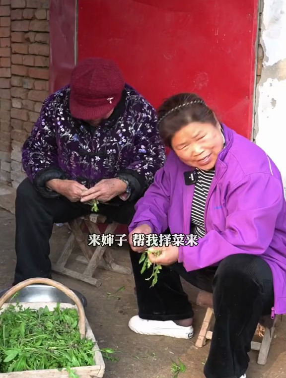二月二玉霞炸糖糕包荠荠菜饺子,解放下班回来见没做好饭生气了