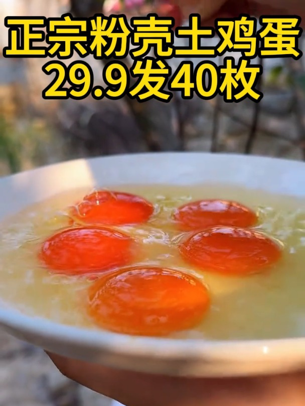 农家散养谷物土鸡蛋