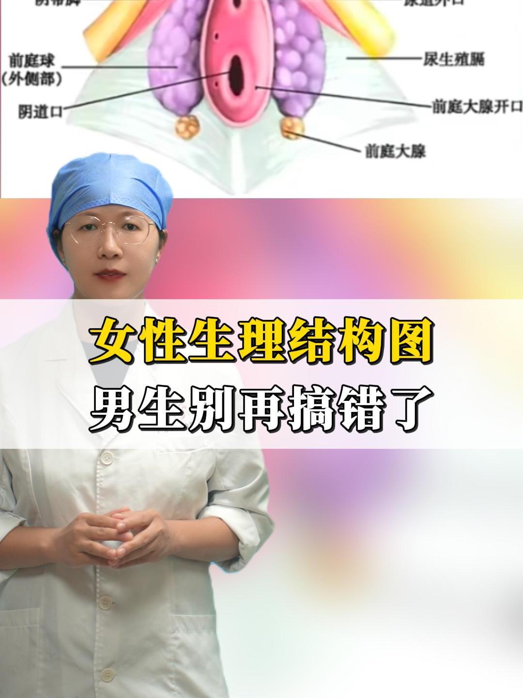 女生生理结构图,男生别再找错了