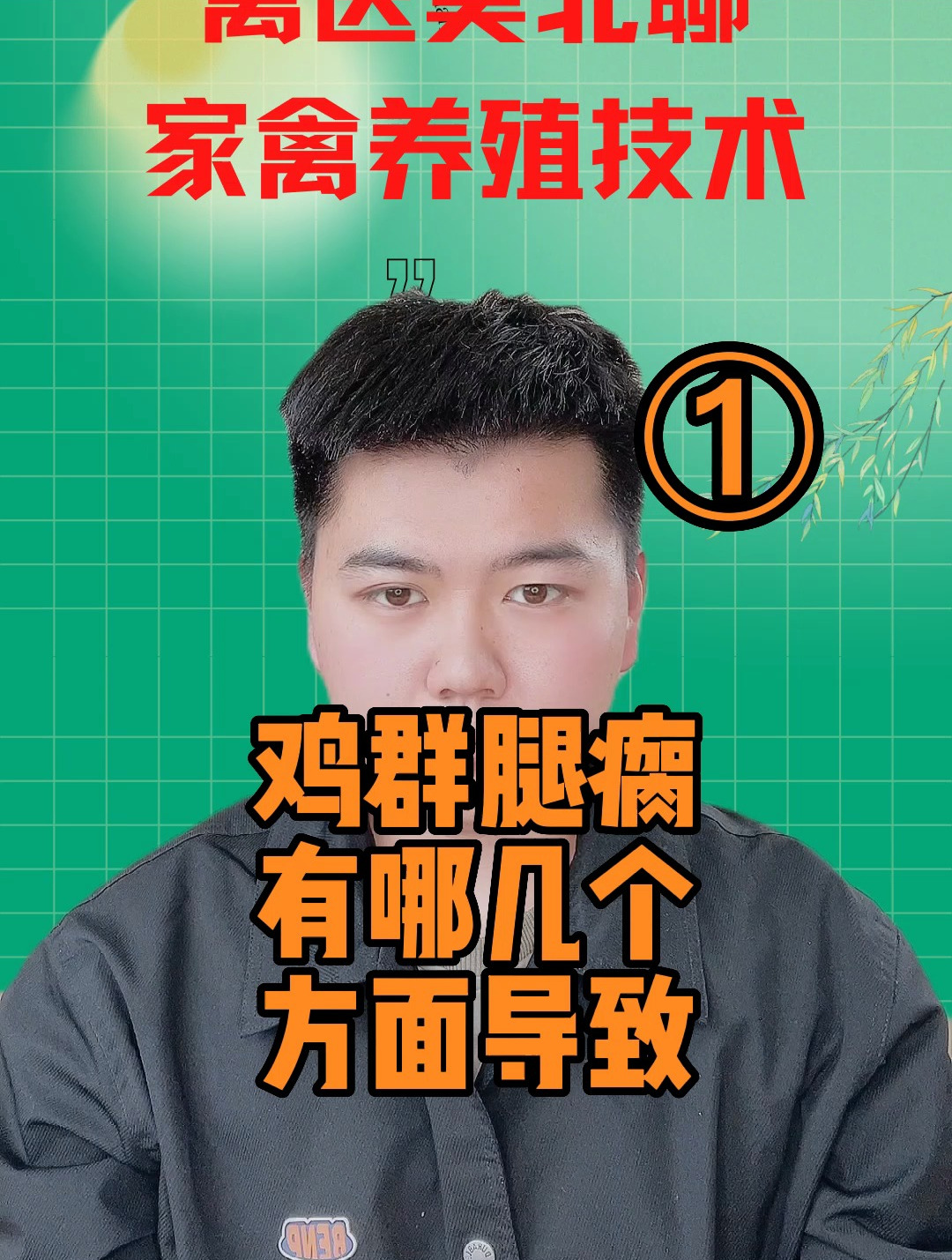 鸡瘸腿怎么回事鸡突然脚瘸了是为什么鸡走路一瘸一拐吃什么