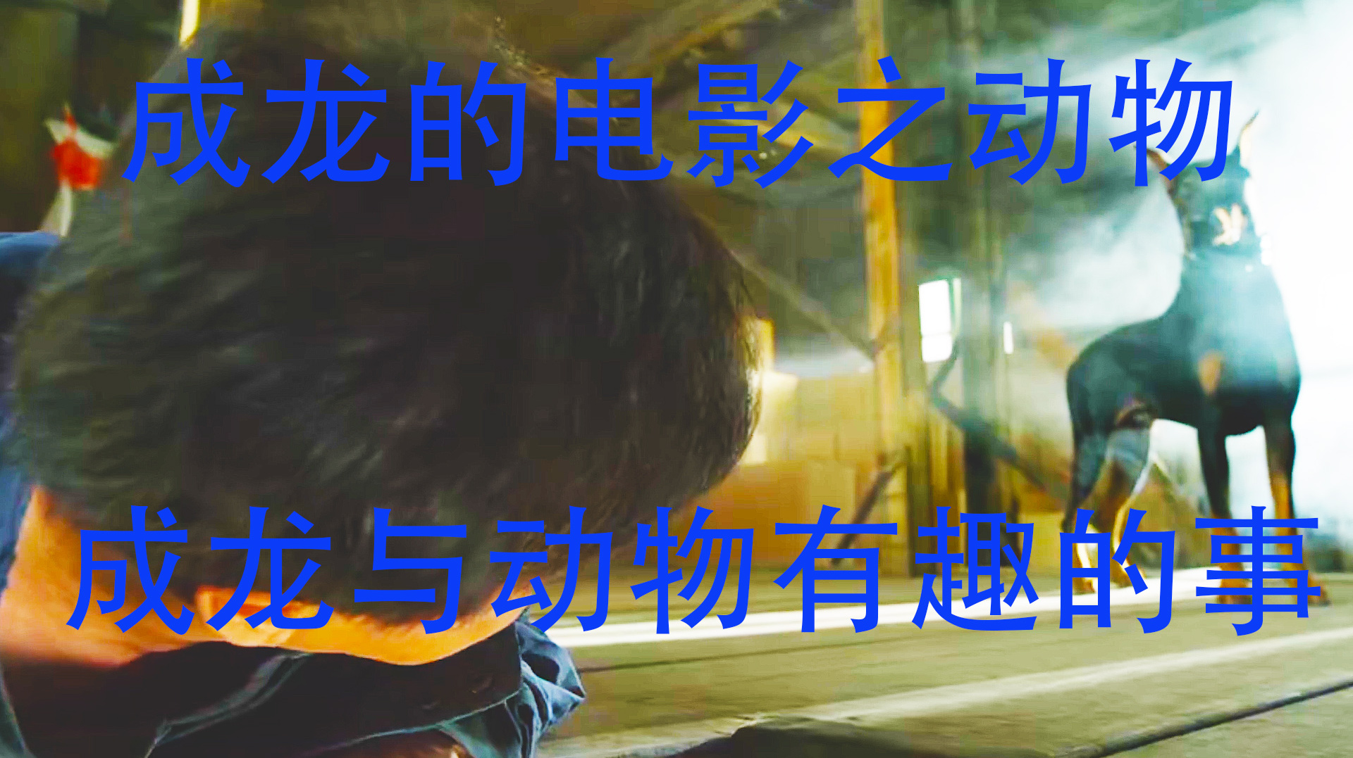 混剪:成龙和动物的那些事,被狗追,被熊捏,被鲨鱼追赶