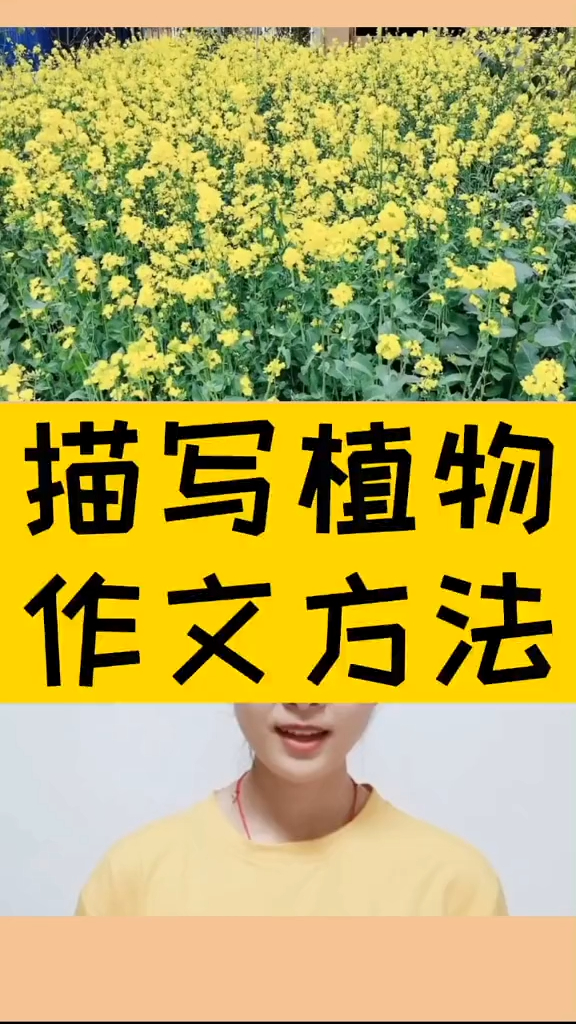 描写植物作文方法,远处——近处——细节。