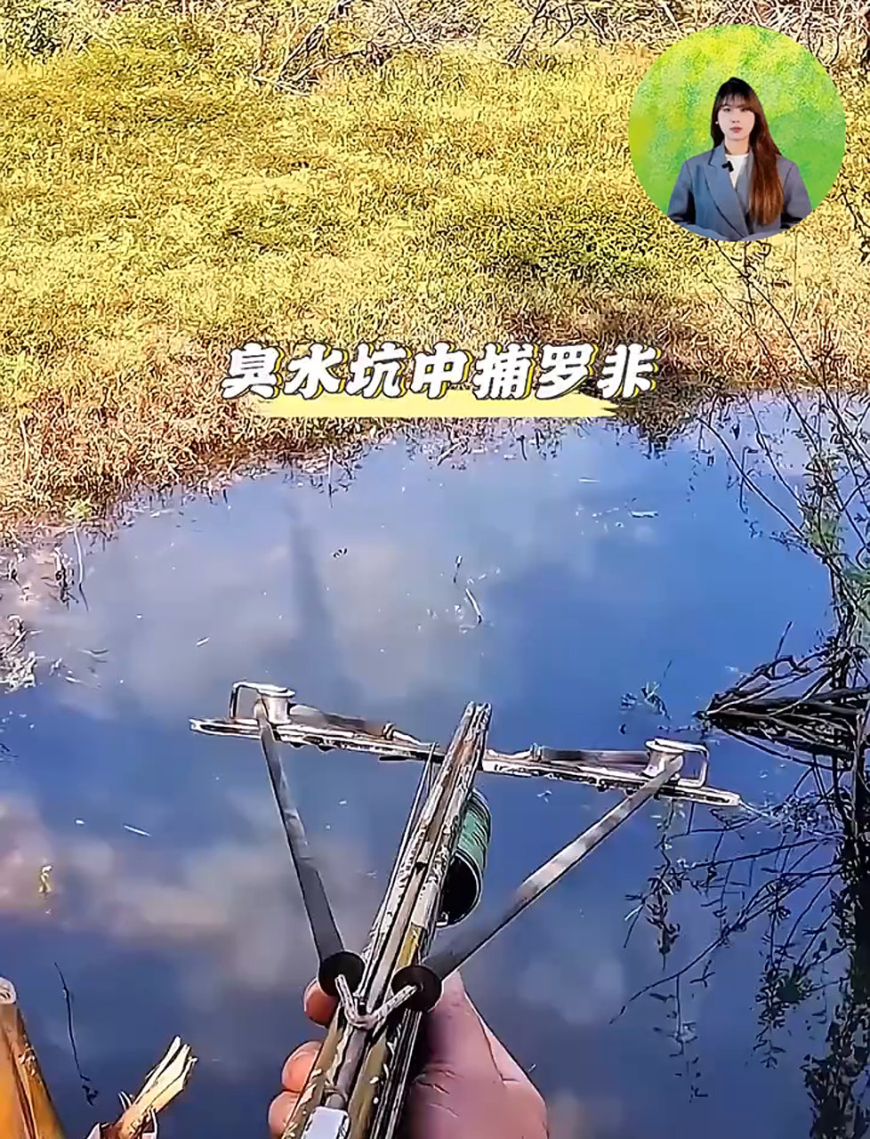 臭水坑弓弩射鱼!老六单身30年手速拖回大罗非,8岁就是捕鱼王