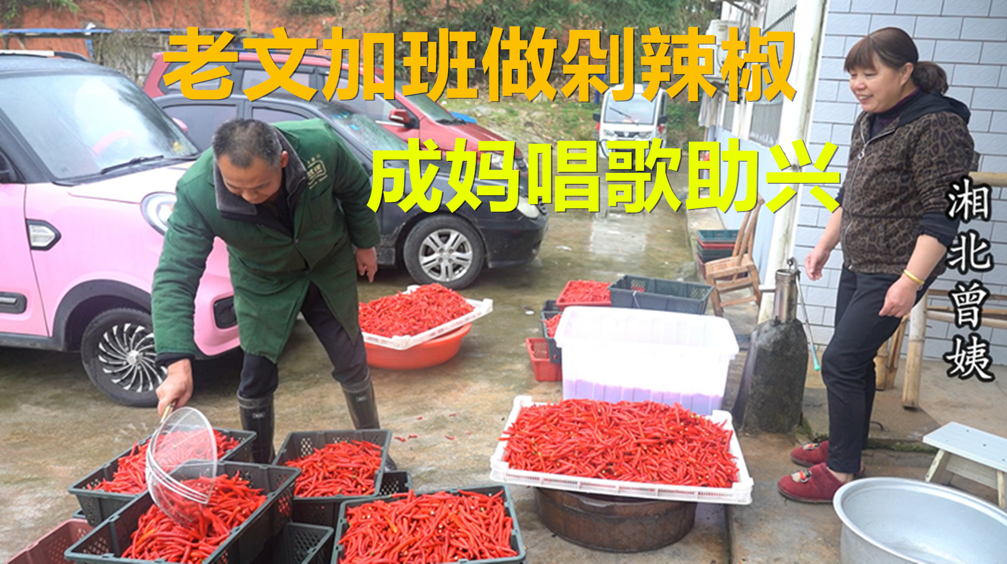 老文做剁辣椒到半夜,想留着亲家一起加班,成妈在一旁唱歌助兴