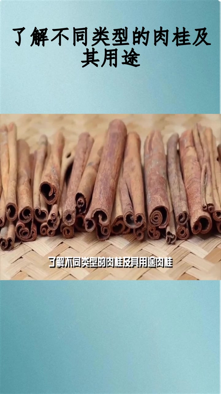 了解不同类型的肉桂及其用途