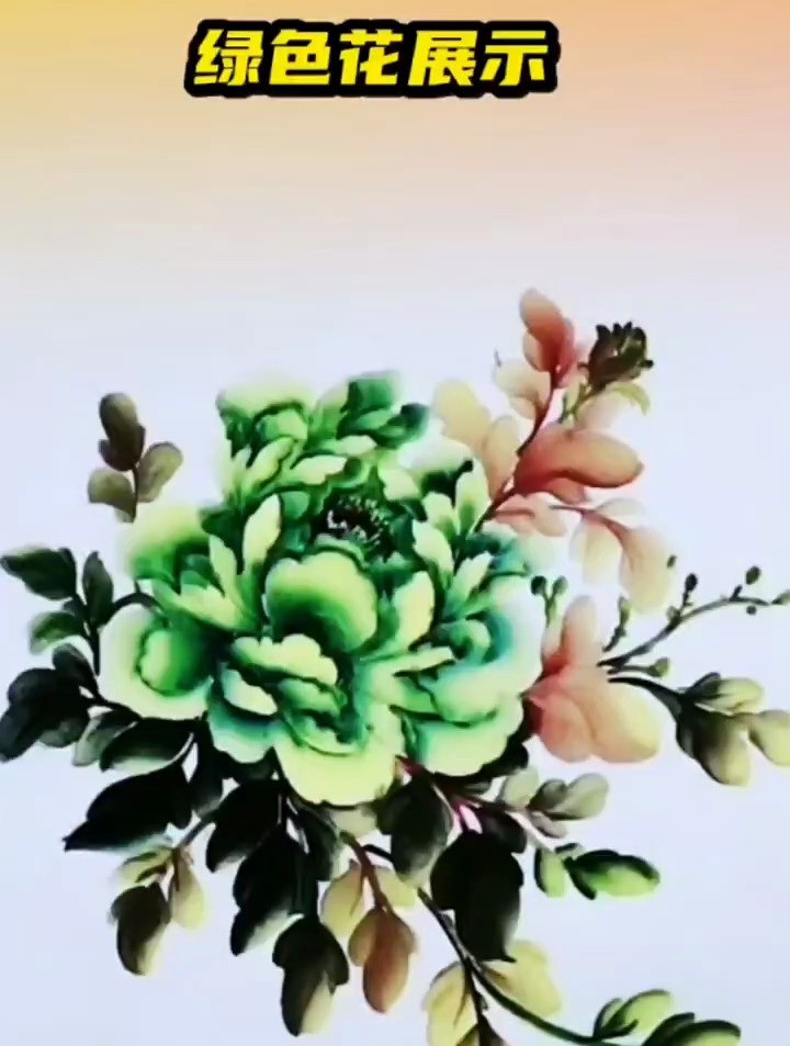 国画写意牡丹绿色牡丹花的画法