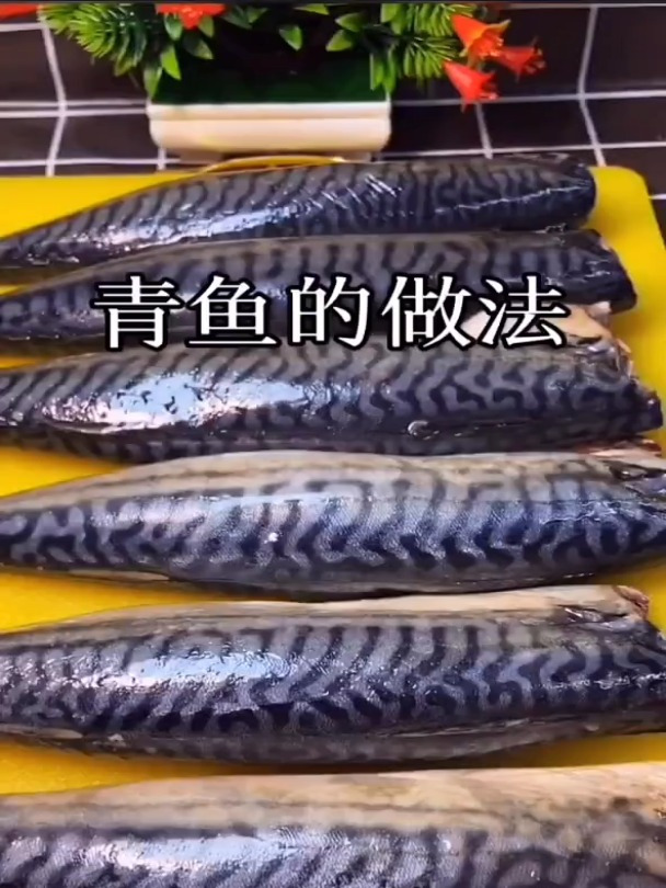 青鱼 鲅鱼 这样做老好吃啦