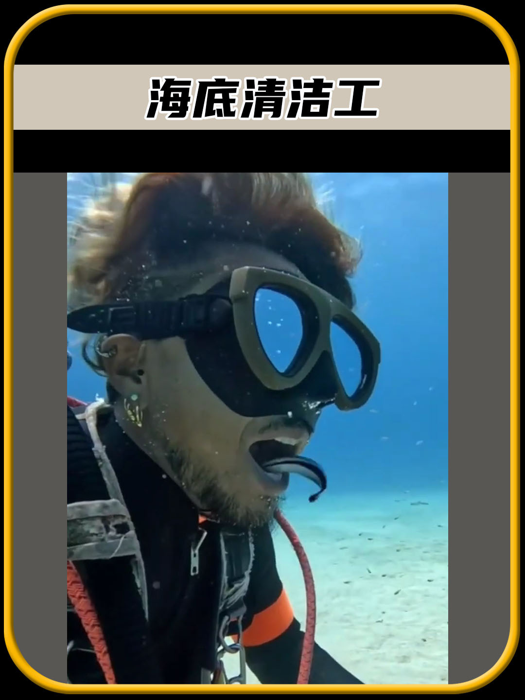 你敢相信吗,这种蓝色的鱼是海底的清洁工,真是太有趣了