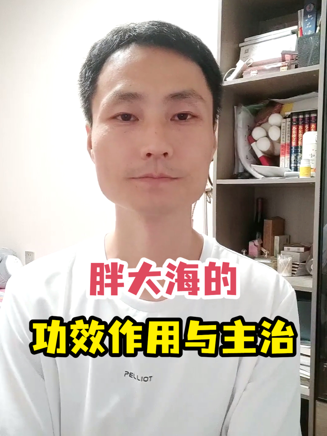胖大海的功效作用与主治