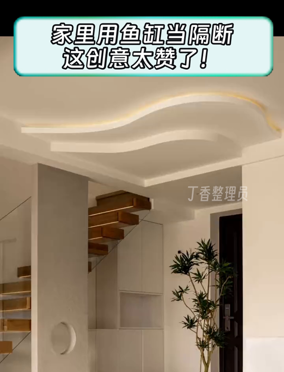 家里用鱼缸当隔断,这创意太赞了!