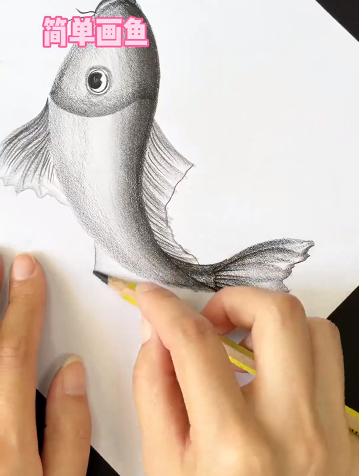 简单画鱼,就画一条鲤鱼吧