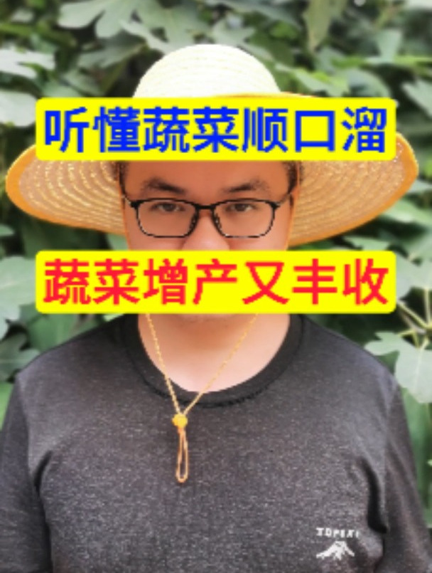 听懂蔬菜顺口溜,蔬菜增产又丰收