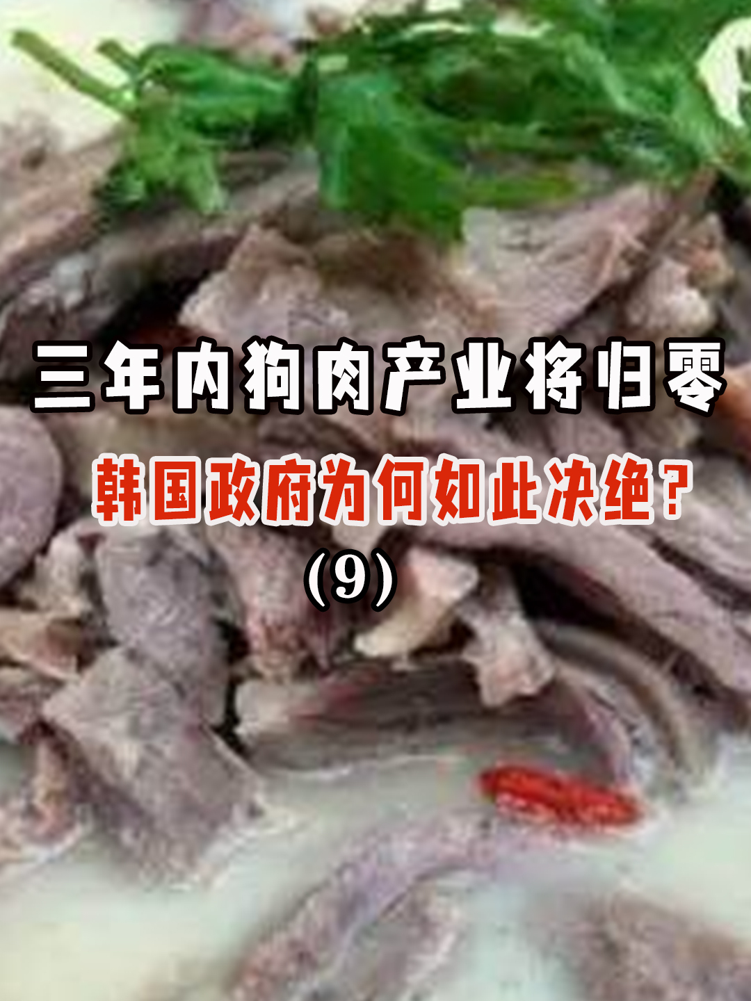 三年内狗肉产业将归零,韩国政府为何如此决绝?(九)