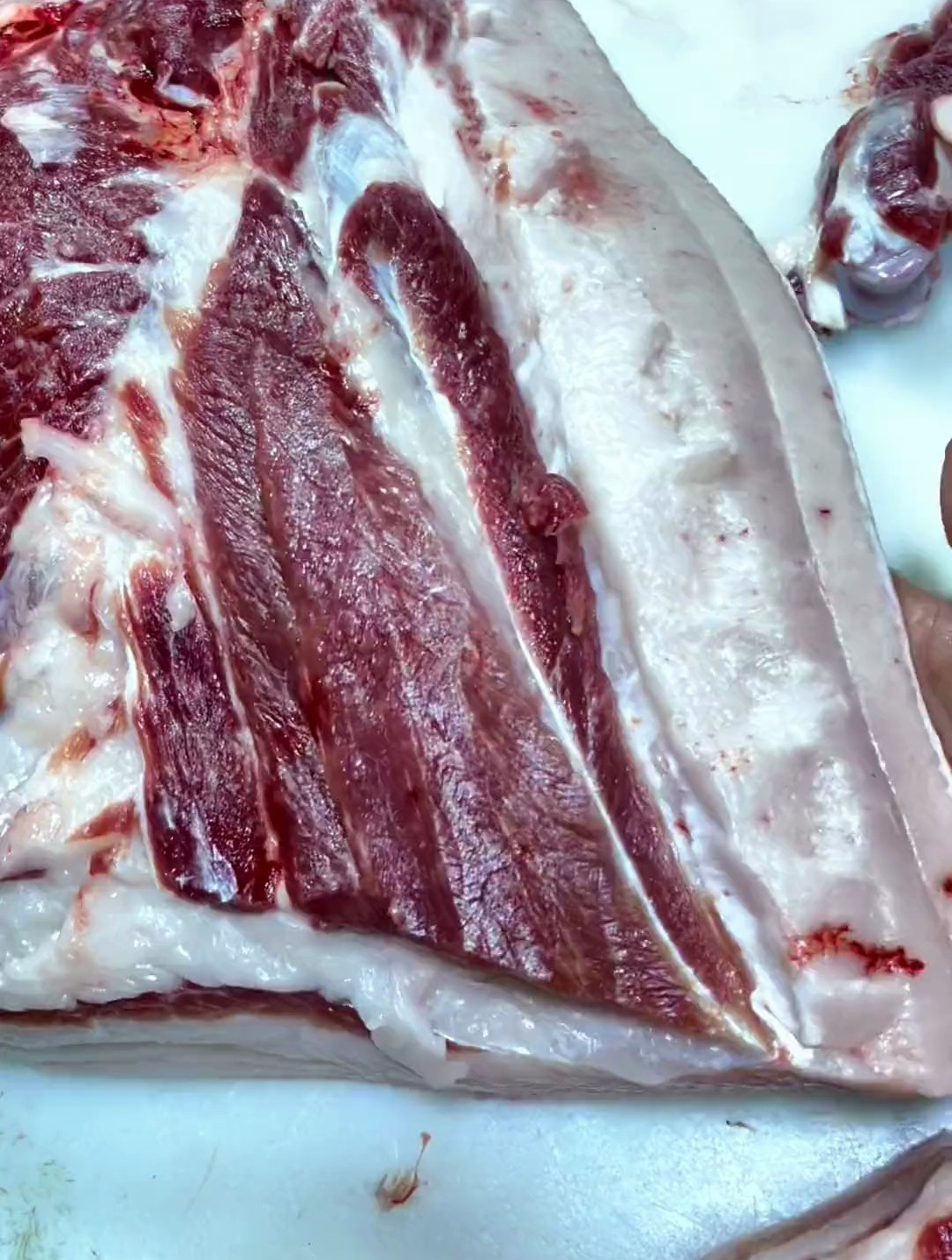 337斤超肥热鲜土猪分割完整视频。5分钟的视频