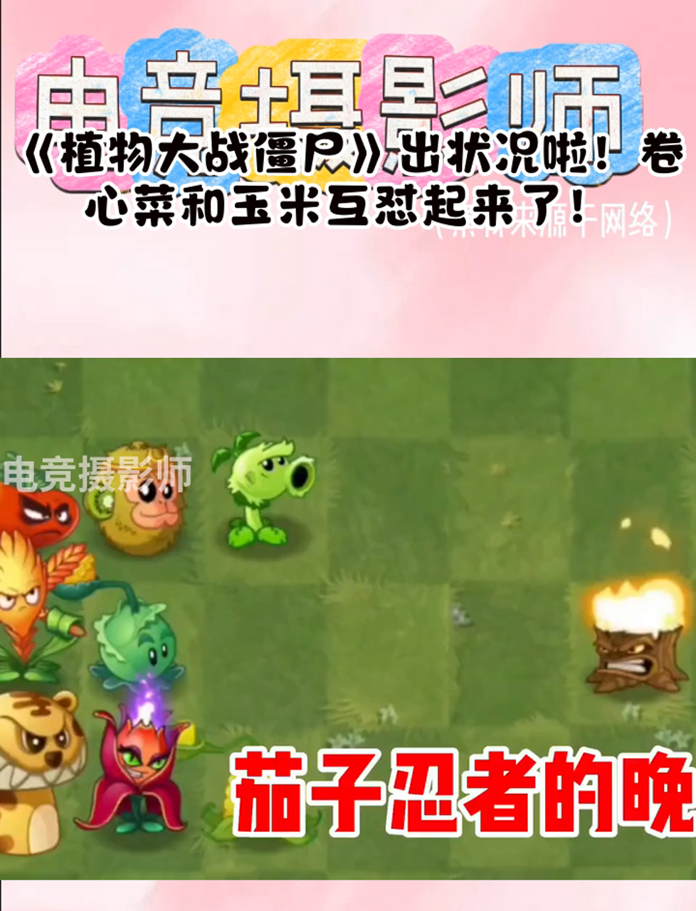 《植物大战僵尸》出状况啦!卷心菜和玉米互怼起来了!