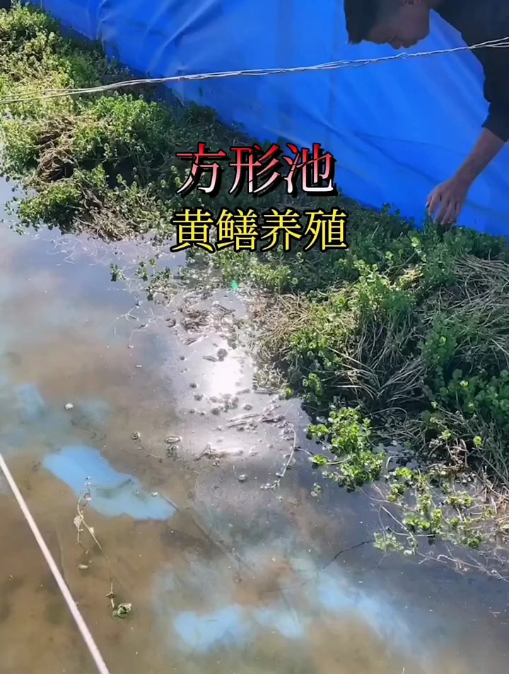 工厂一手货源,尺寸大小可以定制定做方形帆布鱼池