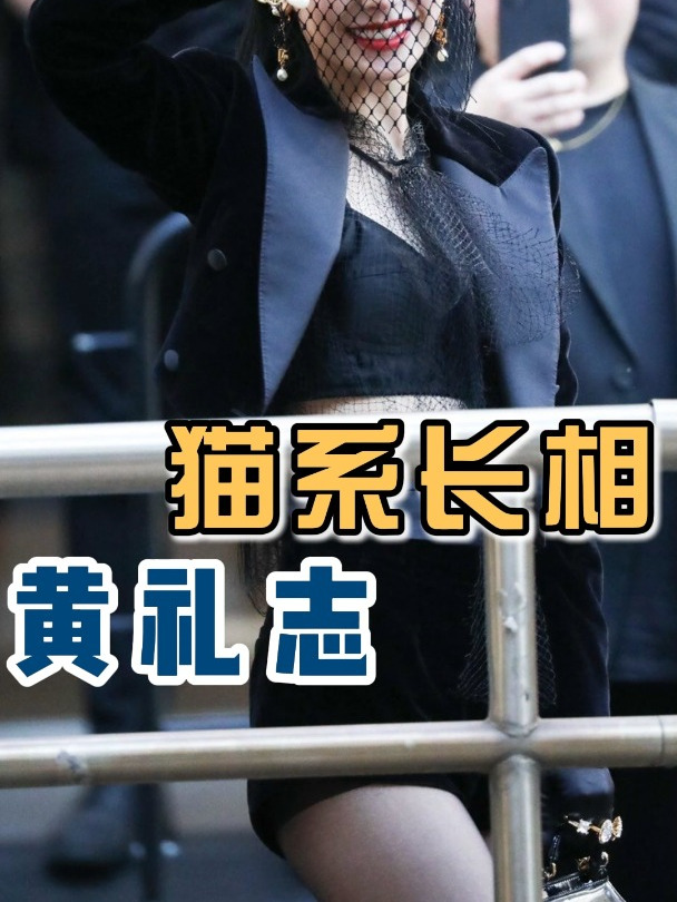 猫系长相 黄礼志