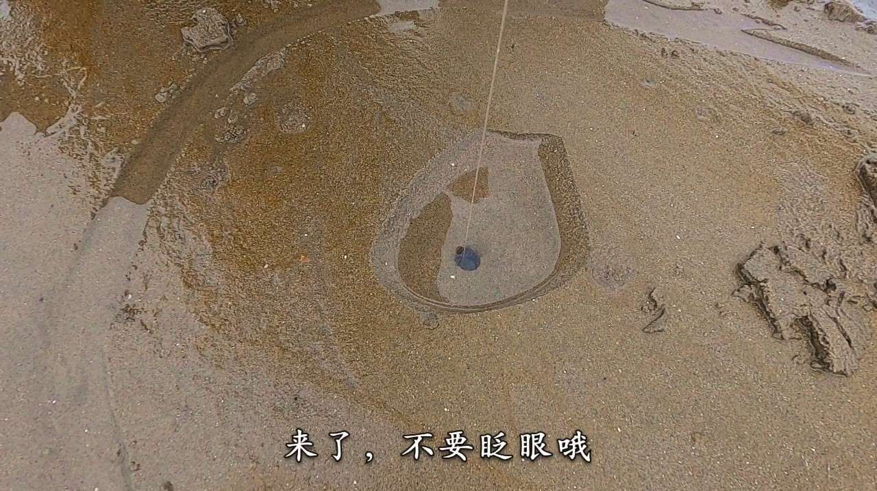 海边小伙用赶海小技巧,钓了几百一斤的虎纹皮皮虾,钓具很常见