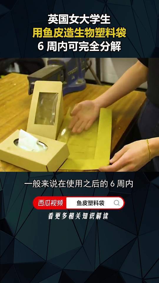 英国女大学生造出鱼皮塑料袋,6周内可完全生物降解