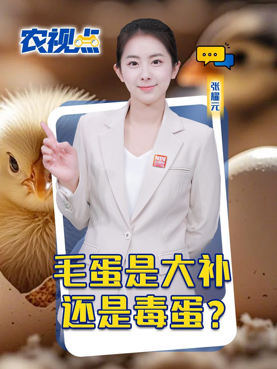 毛蛋是大补还是毒蛋?农视点