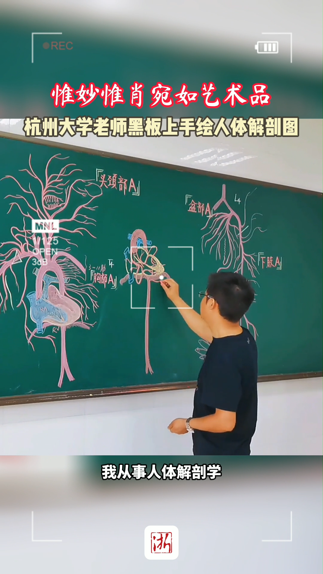 惟妙惟肖宛如艺术品 杭州大学老师黑板上手绘人体解剖图