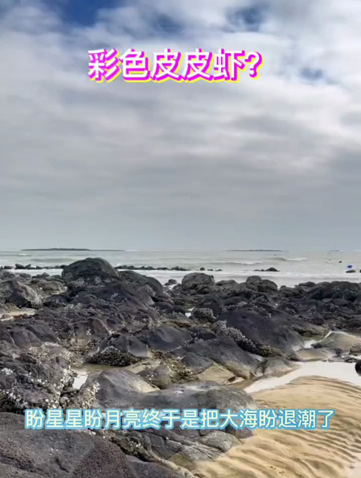 彩色皮皮虾贼漂亮