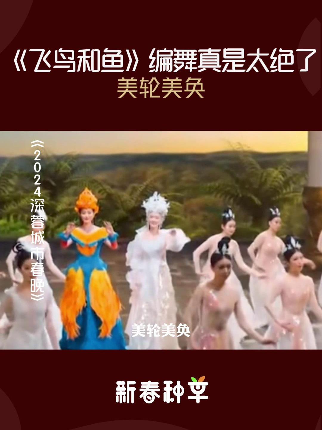 2024深圳卫视春晚:《飞鸟和鱼》编舞真是太绝了,美轮美奂