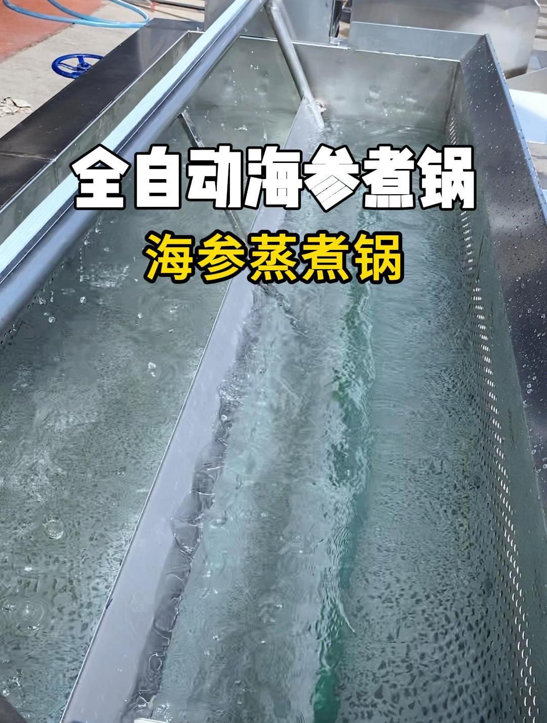 鑫飞机械全自动海参蒸煮锅,海参加工设备,大虾煮锅