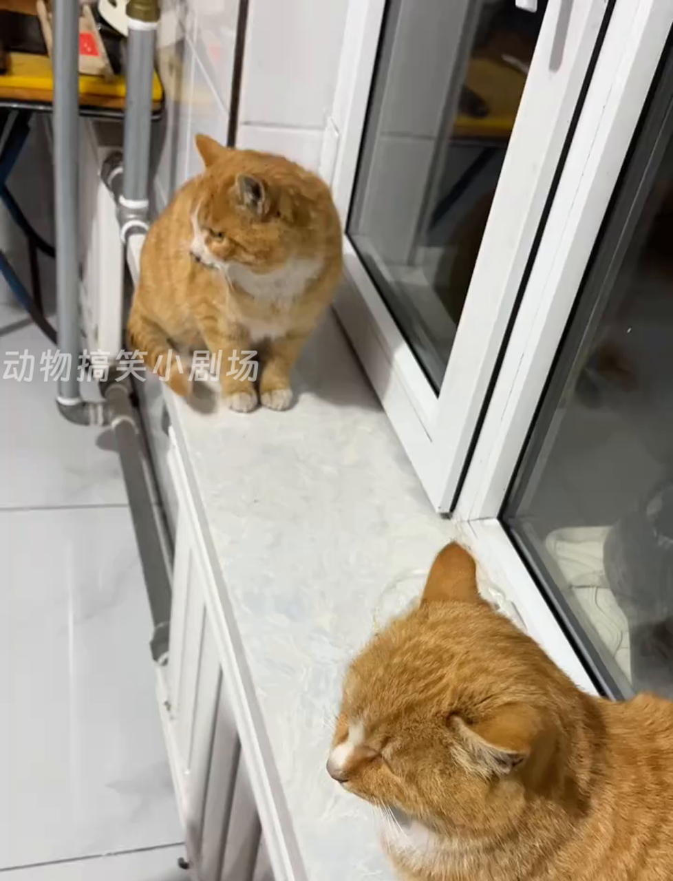 哥俩好,大口吃肉大碗喝酒