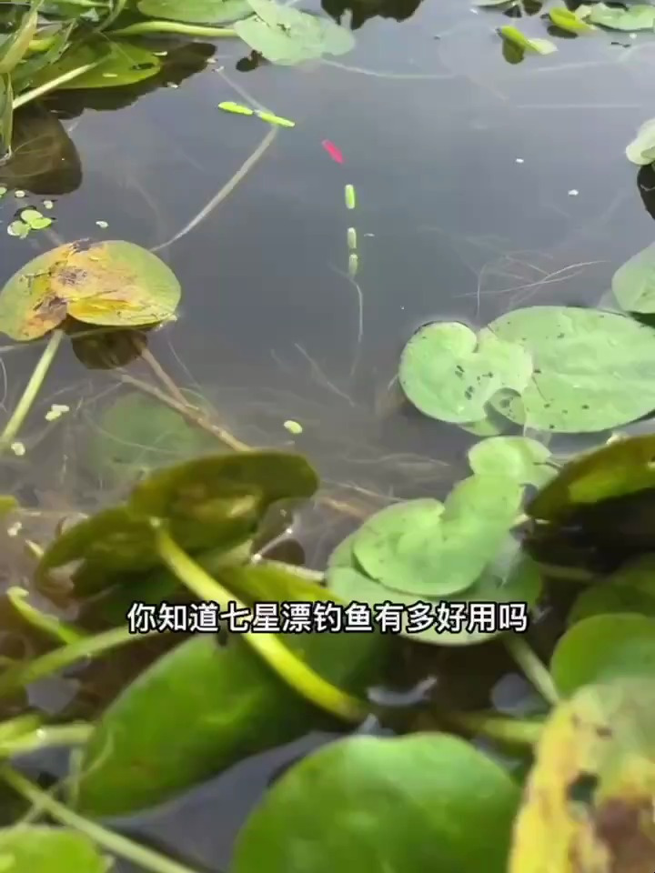 钓鱼大师都用的,调漂神器,用它再也不用调漂了,自动调漂太好用