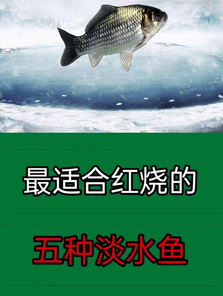 最适合红烧的五种淡水鱼,你知道是什么吗