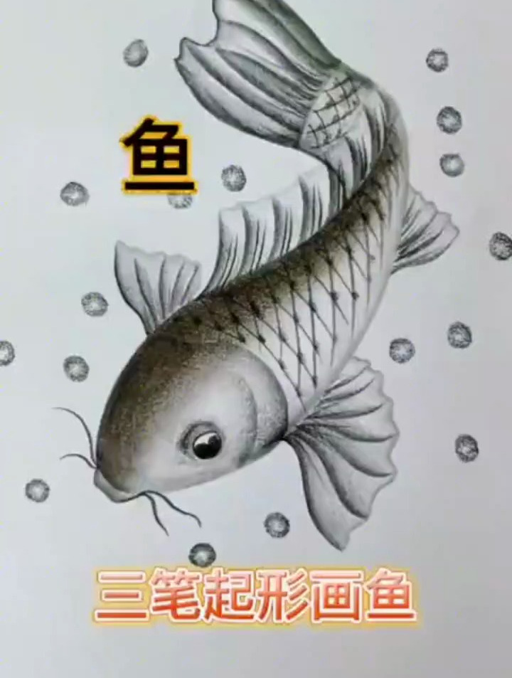 三笔起形画鱼,轻轻松松完成一幅画。这么简单画鱼方法