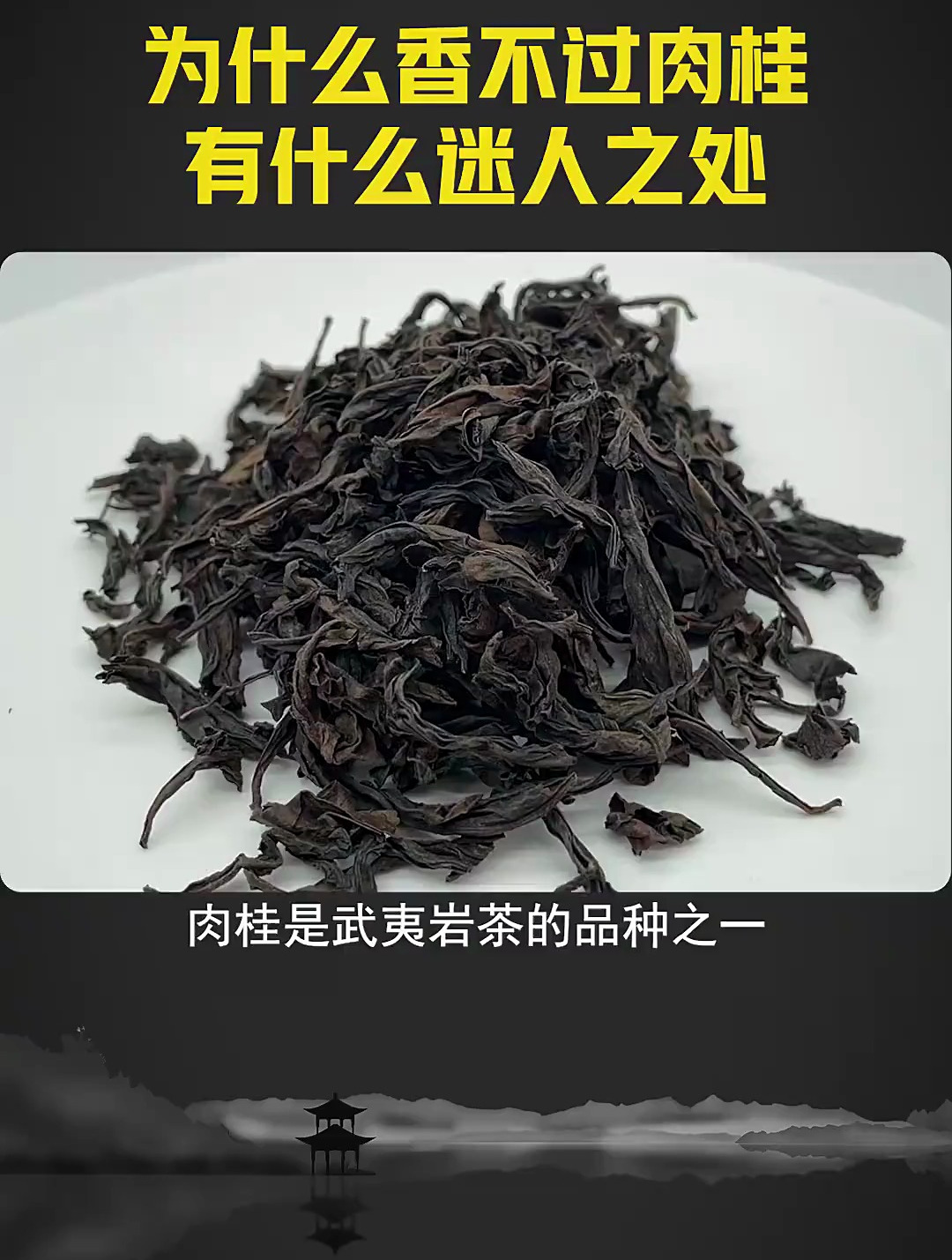 说肉桂不好喝的应该都是小白吧!茶道研习社