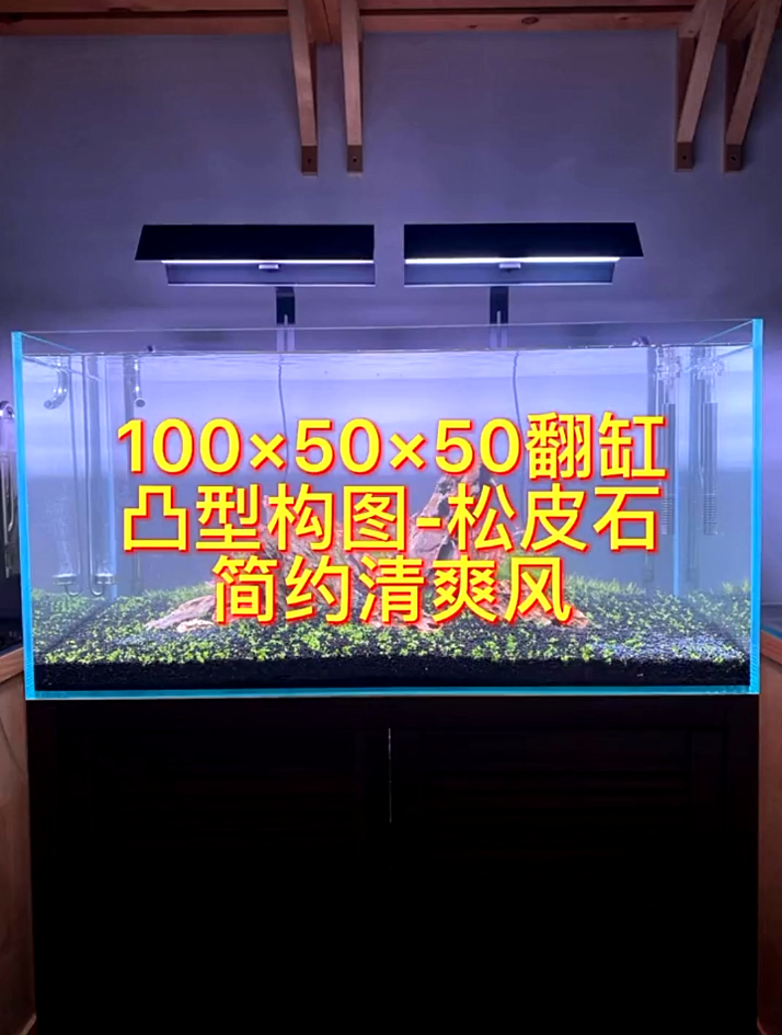 用简约松皮石造景,全过程了,给大家奉上!