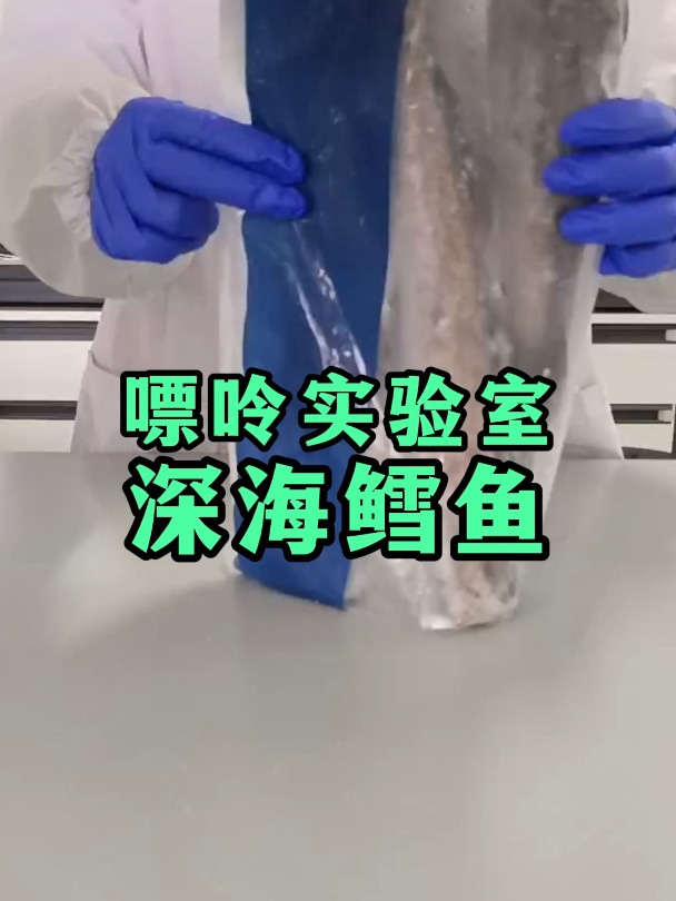 鳕鱼的营养丰富,肉质鲜美,嘌呤含量高不高呢?