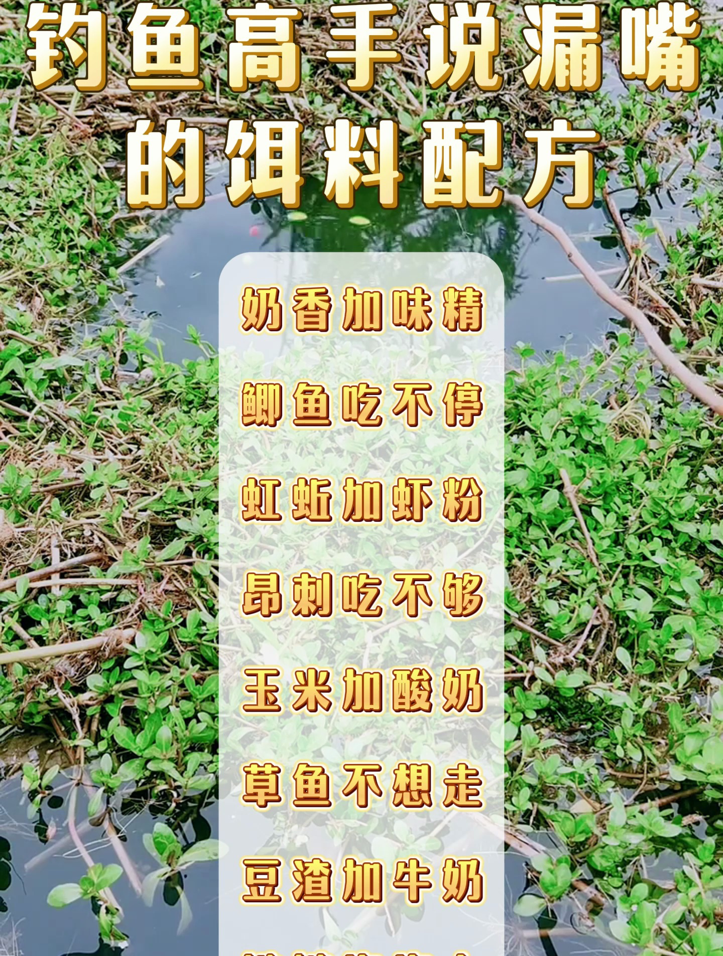 钓鱼高手说漏嘴的饵料配方,新手快收藏备用!