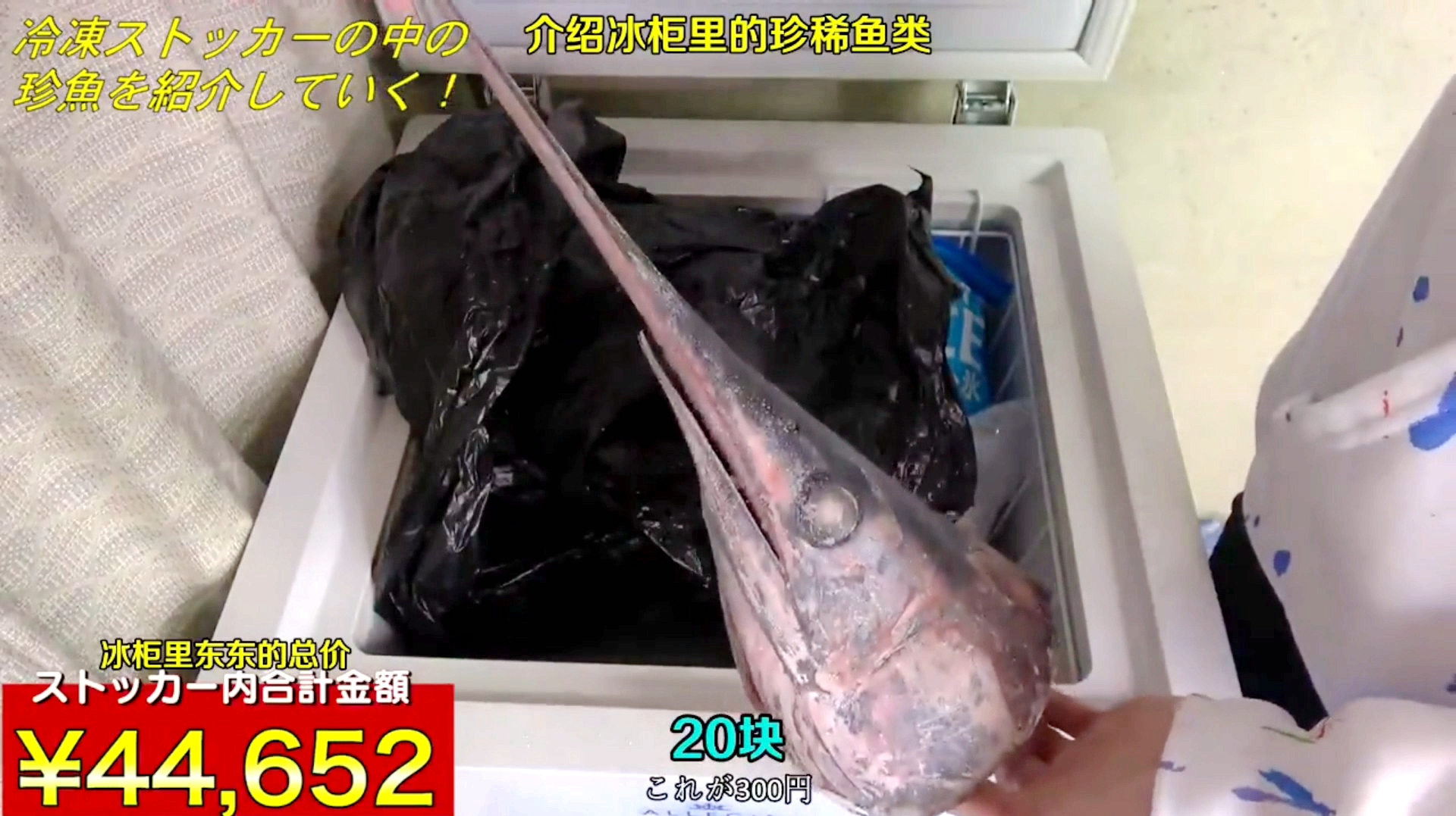 「海鲜小哥金子」冰柜大公开!攒了1年的冷冻鱼,各种珍稀藏货