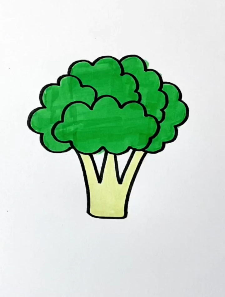 简笔画西兰花,学不会来打我