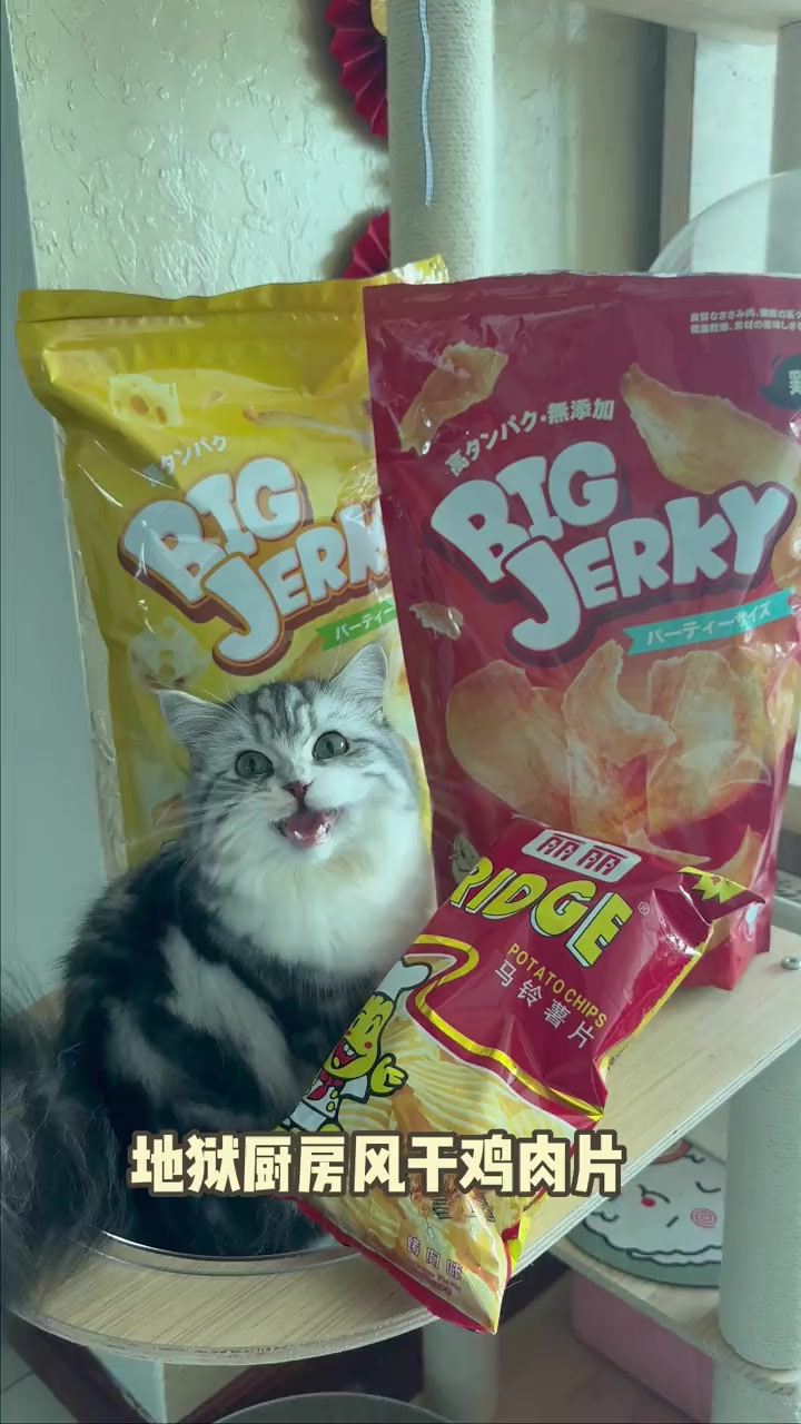 还可以磨牙锻炼咬合力的猫猫薯片～
