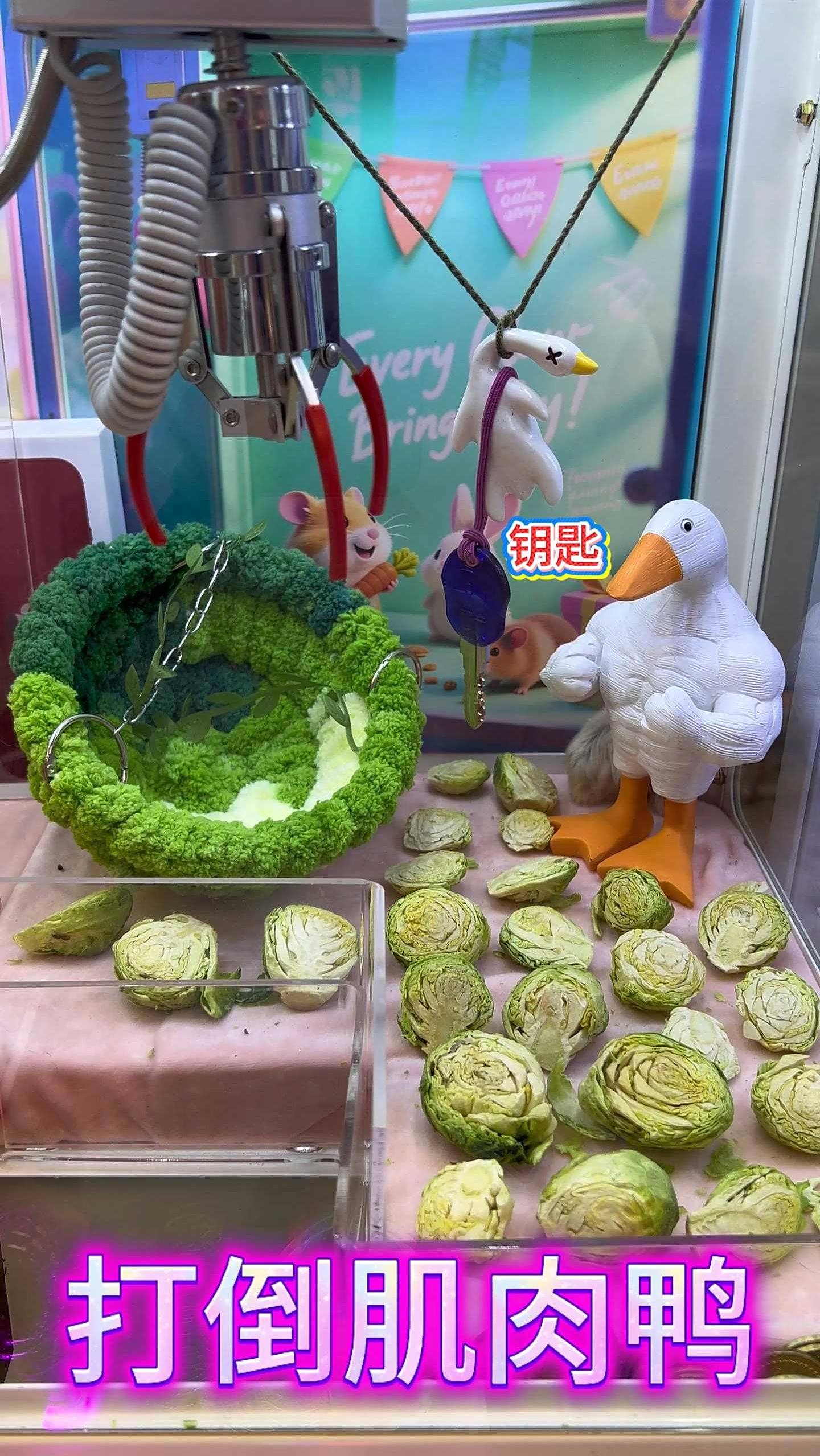 娃娃机里竟然能抓卷心菜!