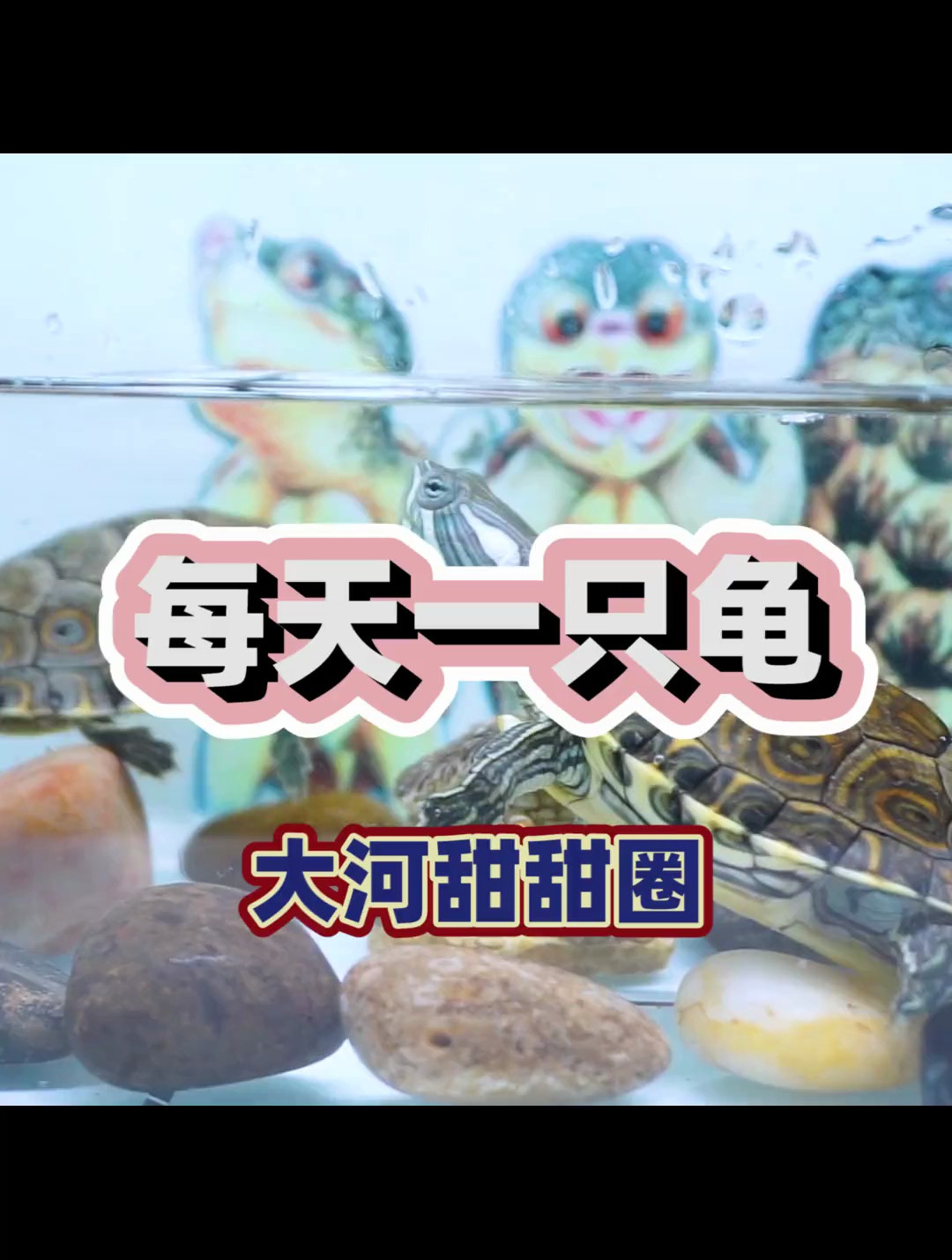 每天一只龟:大河甜甜圈
