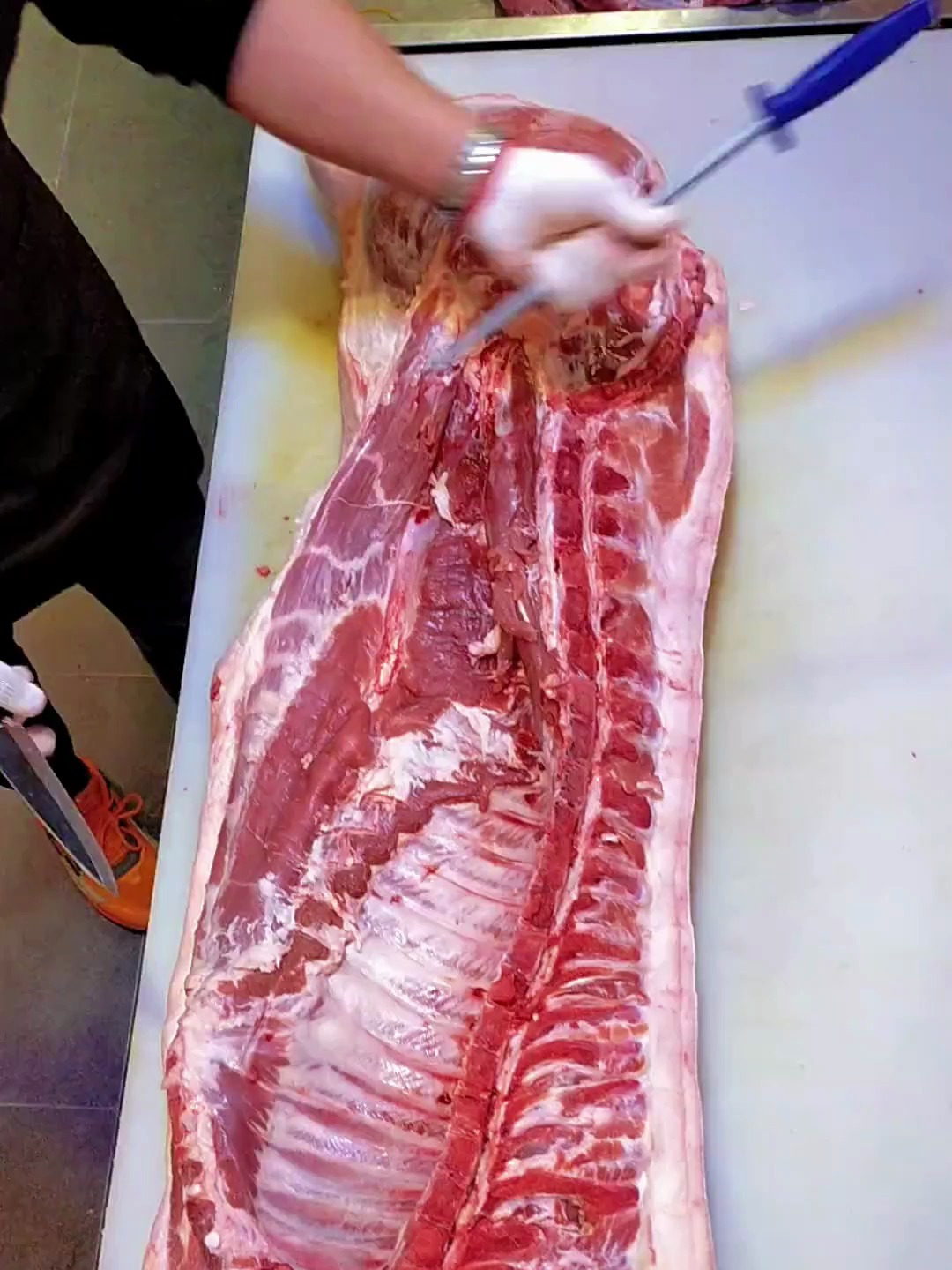 这片肉真肥 刀工 猪肉分割技巧