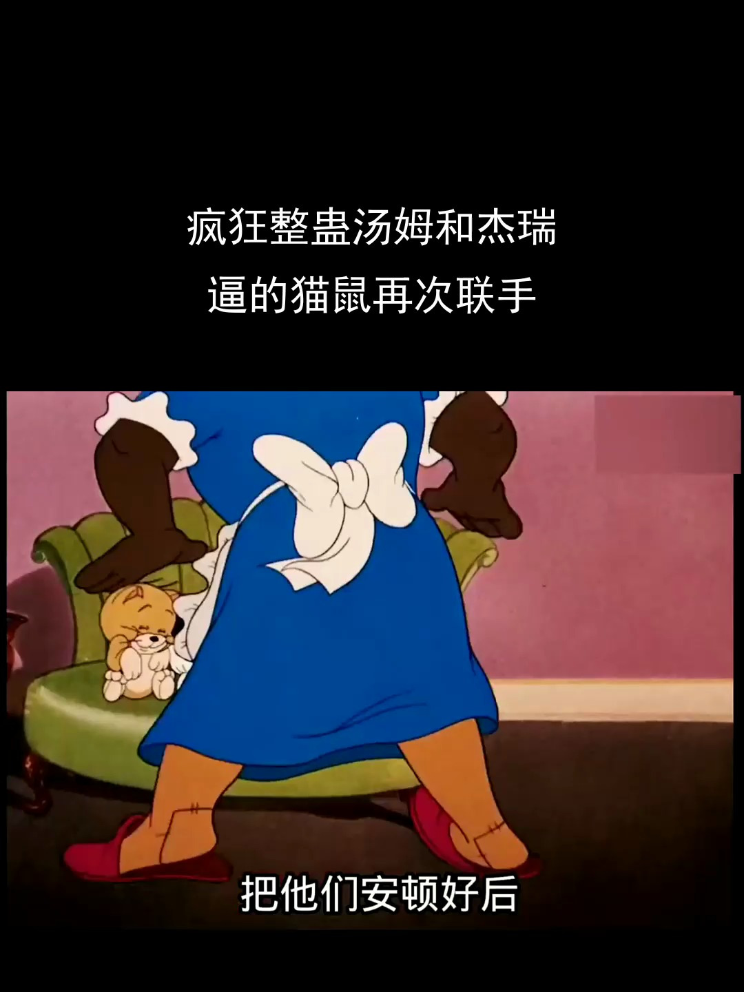 疯狂整蛊汤姆和杰瑞,逼的猫鼠再次联手