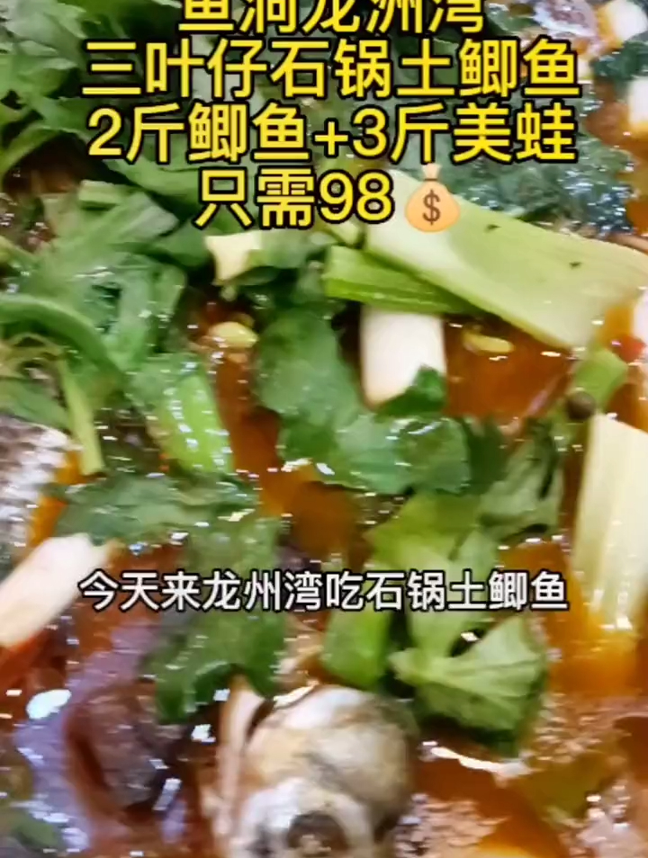 鱼洞龙洲湾,三叶仔石锅土鲫鱼