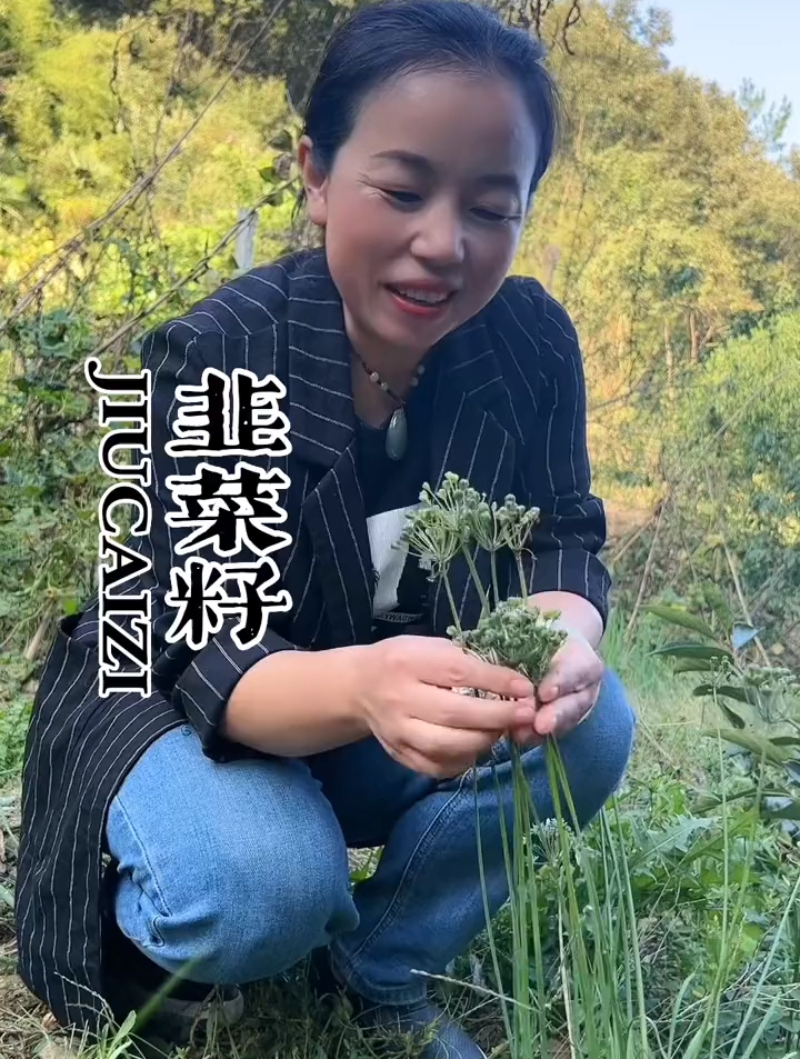 韭菜籽,它的妙用你知道吗?你知道它的别称吗