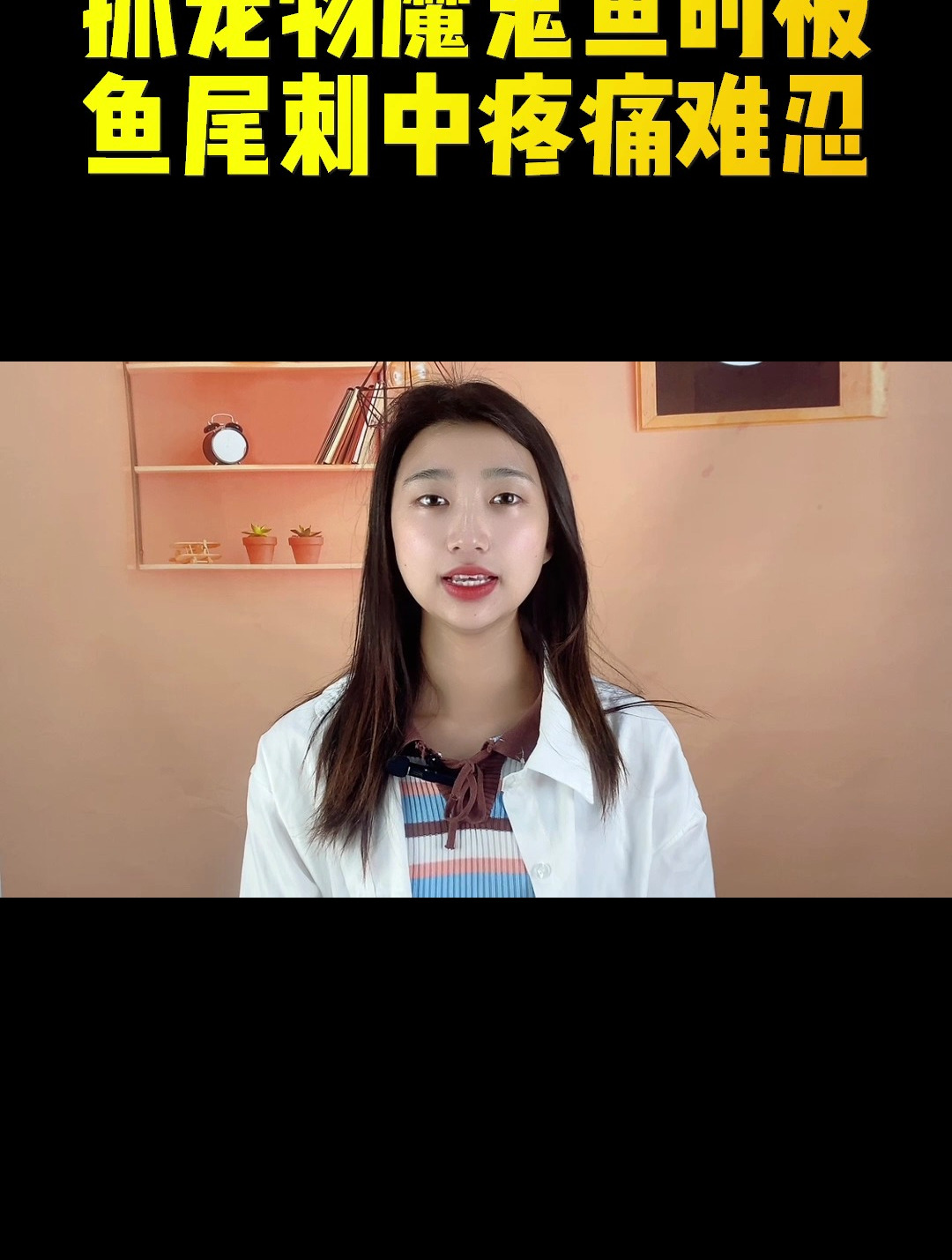 抓宠物魔鬼鱼时被鱼尾刺中疼痛难忍