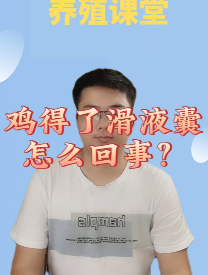 鸡滑液囊支原体的症状?滑囊炎支原体怎么办?鸡滑液囊炎病症?